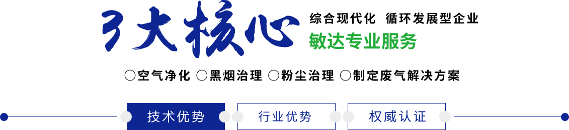 插进逼里操视频免费看敏达环保科技（嘉兴）有限公司